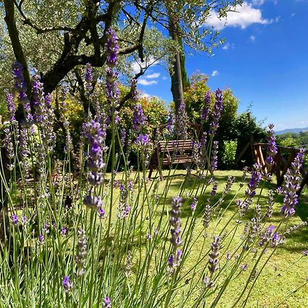 Grove Cottage: Immersed In Nature & Close To Town 시타델라피에베 외부 사진