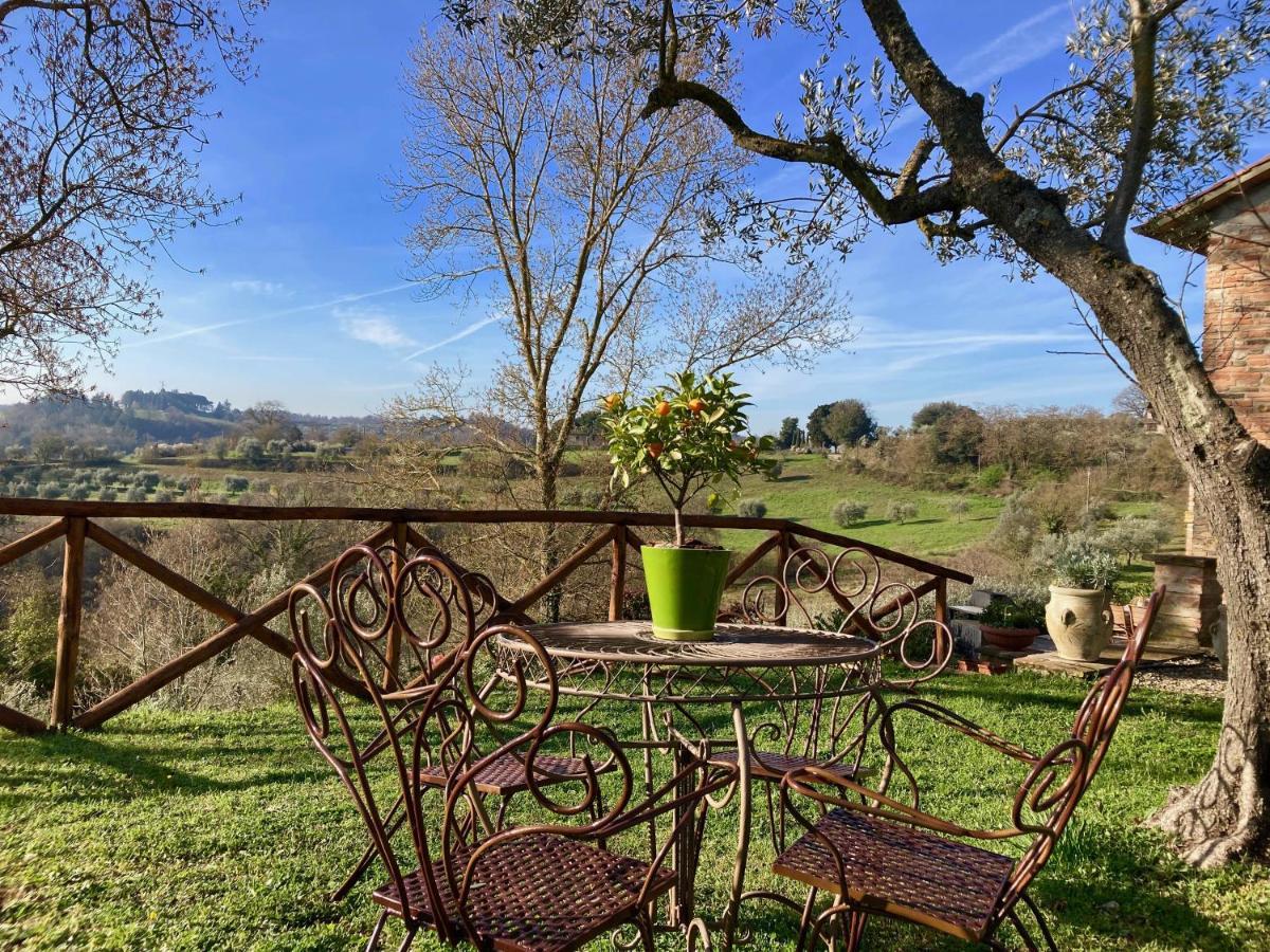 Grove Cottage: Immersed In Nature & Close To Town 시타델라피에베 외부 사진