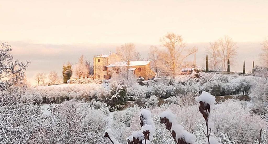 Grove Cottage: Immersed In Nature & Close To Town 시타델라피에베 외부 사진