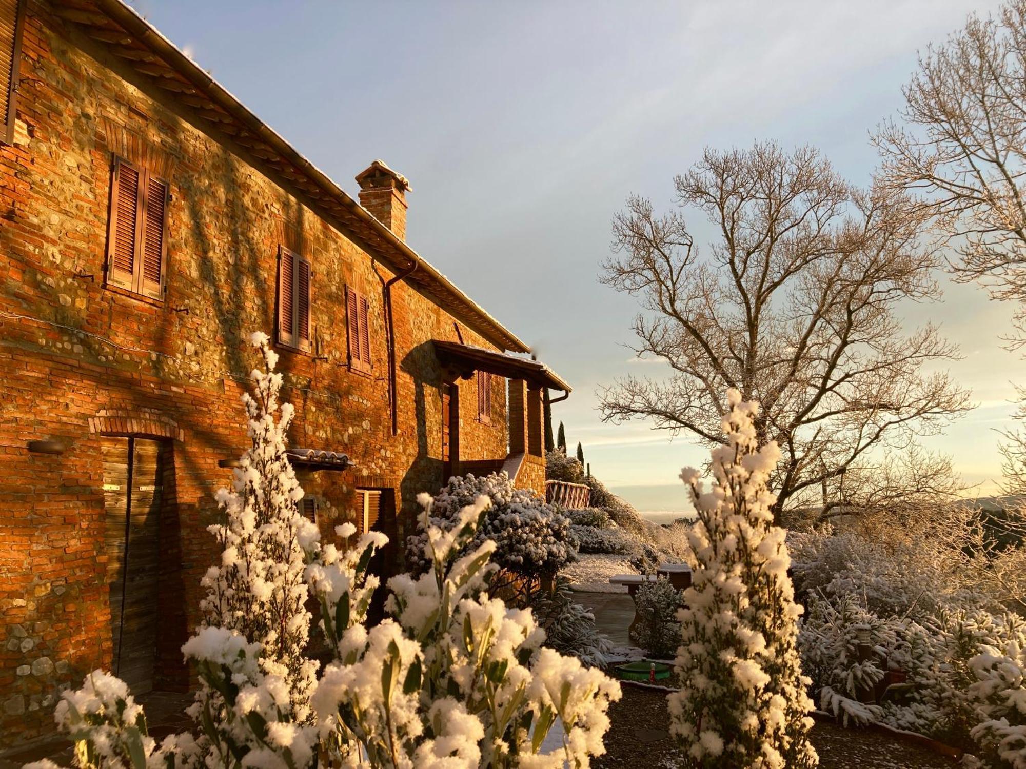 Grove Cottage: Immersed In Nature & Close To Town 시타델라피에베 외부 사진